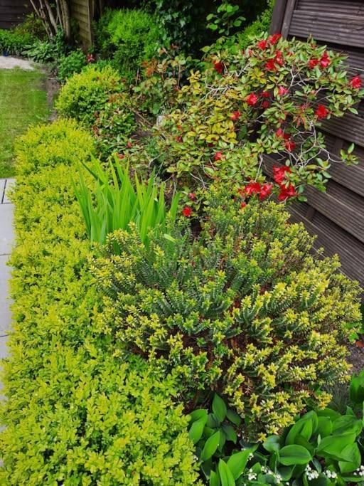 Urlaubsdomizil Norden/Norddeich, Mit Garten Exteriör bild